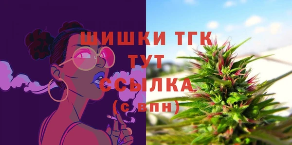 ALPHA PVP Каменка