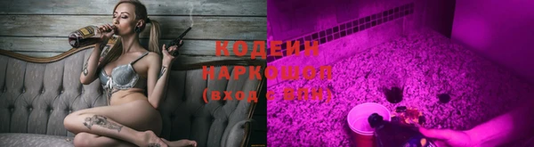 ешки Иннополис