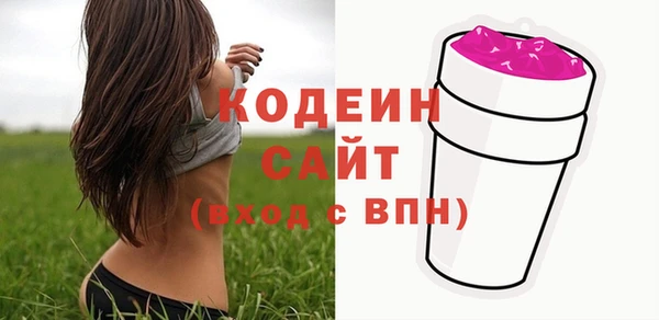 apvp Инта