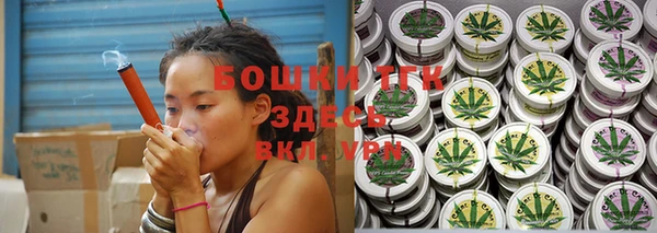 тгк Каменск-Шахтинский